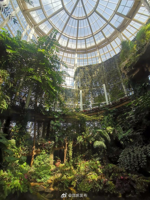 “昆明发布”微博