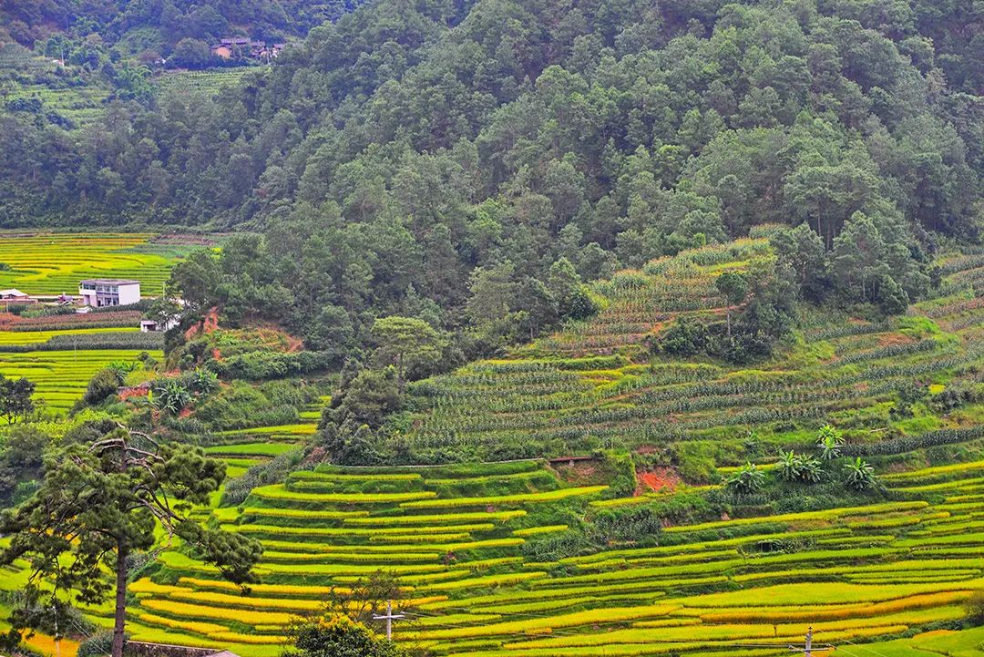 保山新闻网(微信)