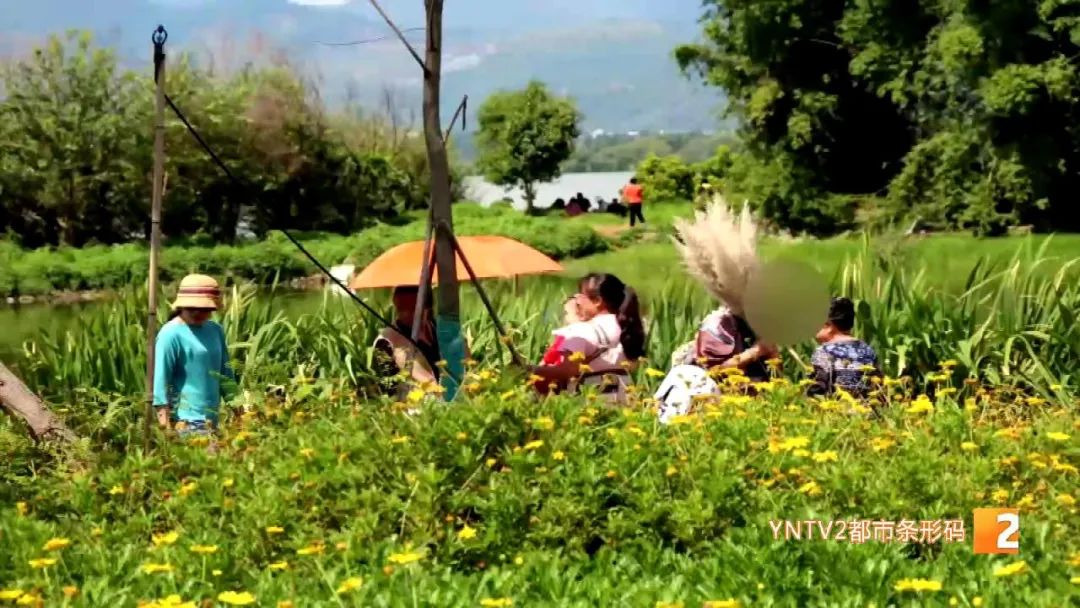 昆明信息港(微信)