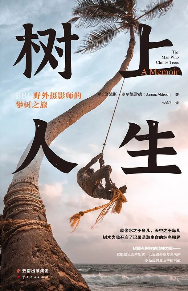 好书推荐：《树上人生》