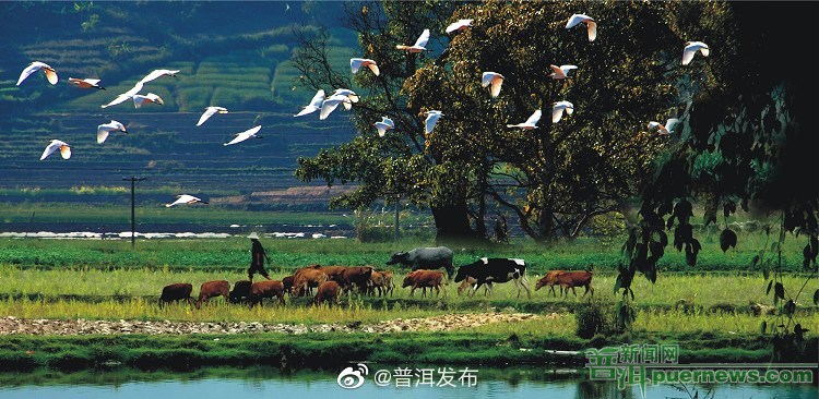 绿水青山、藏金孕宝的普洱城