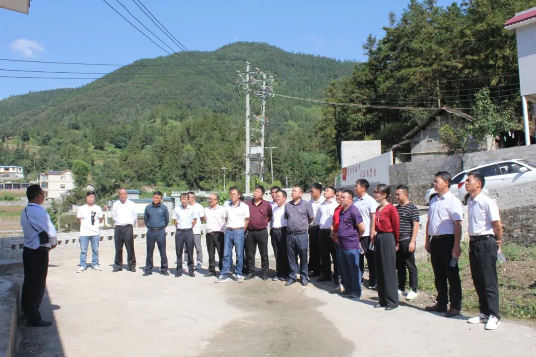 珠源先锋(微信)