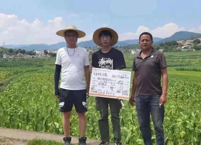 大理日报(微信)