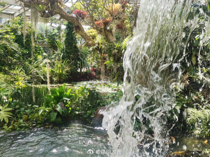 “昆明发布”微博