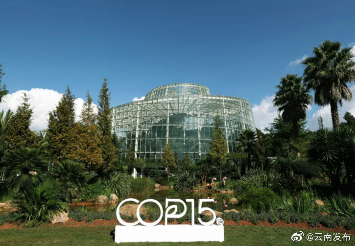 “云南发布”微博