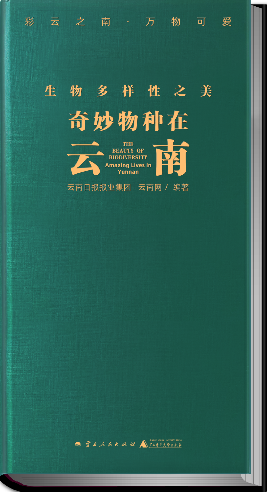 云南法制报(微信)