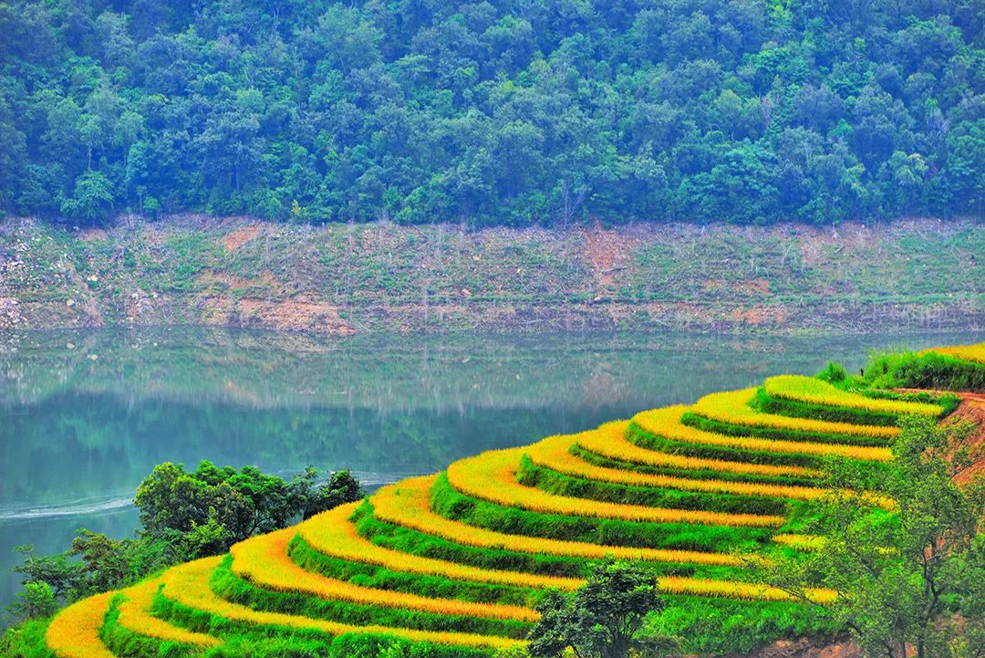 保山新闻网(微信)