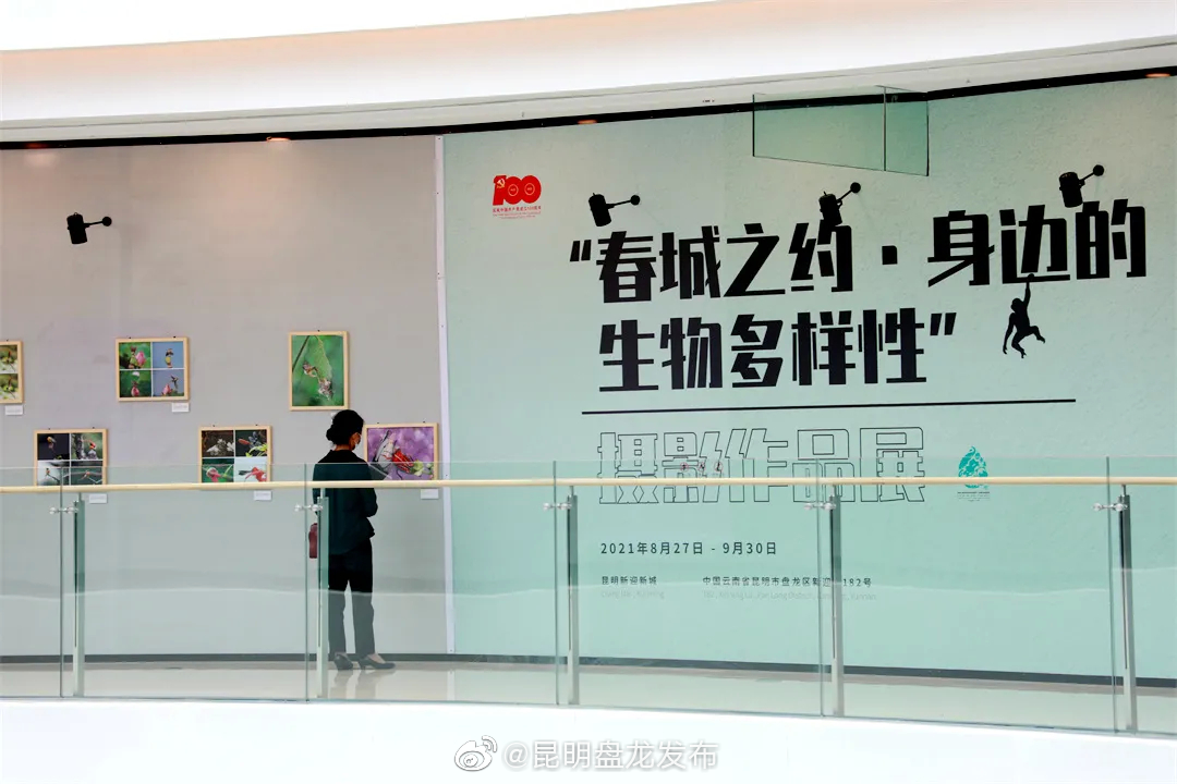 “昆明盘龙发布”微博