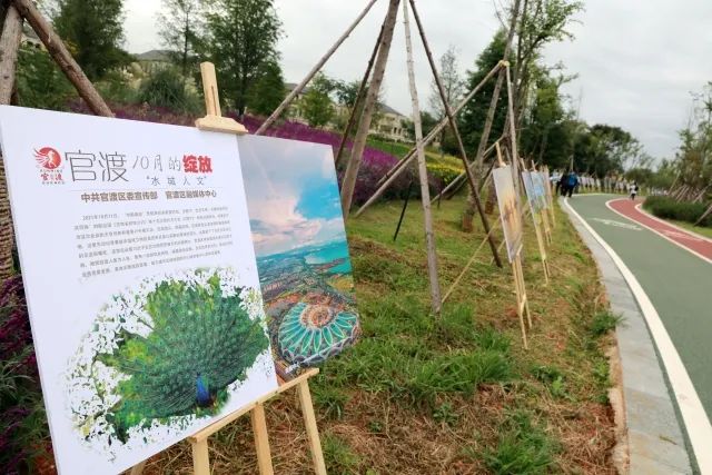 春城晚报(微信)