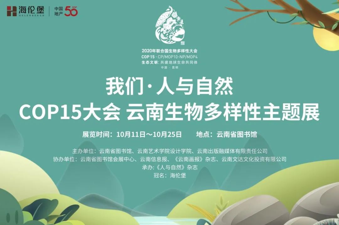 云南信息报(微信)