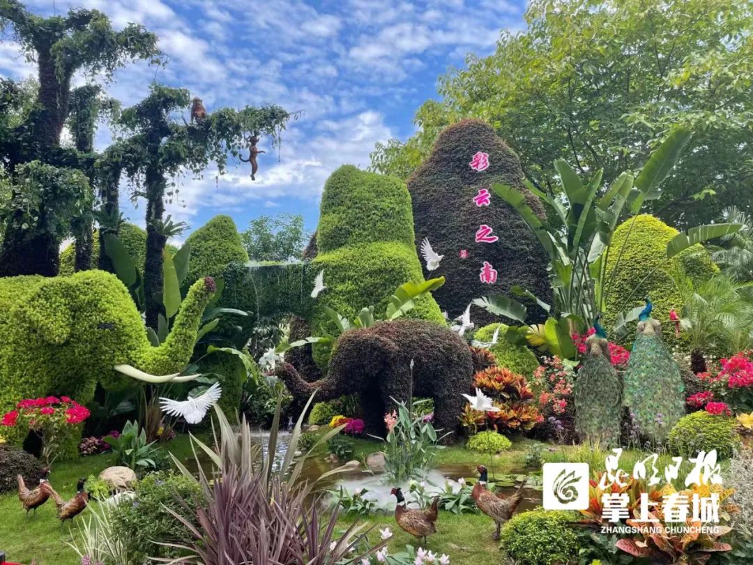 掌上春城(微信)