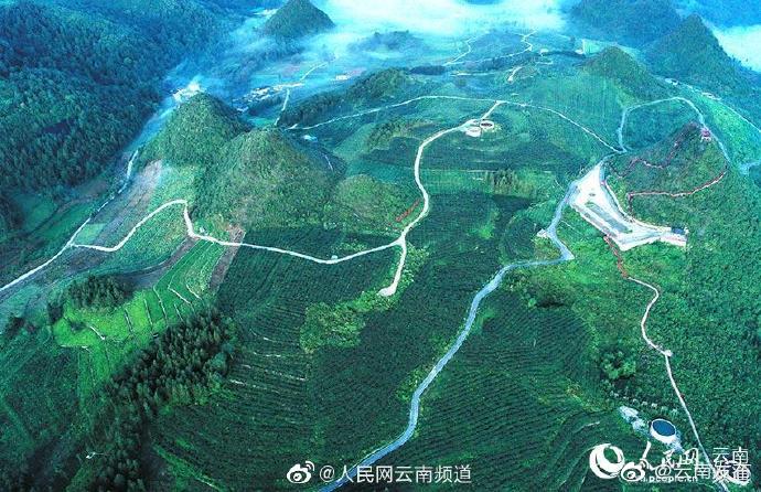 “云南发布”微博