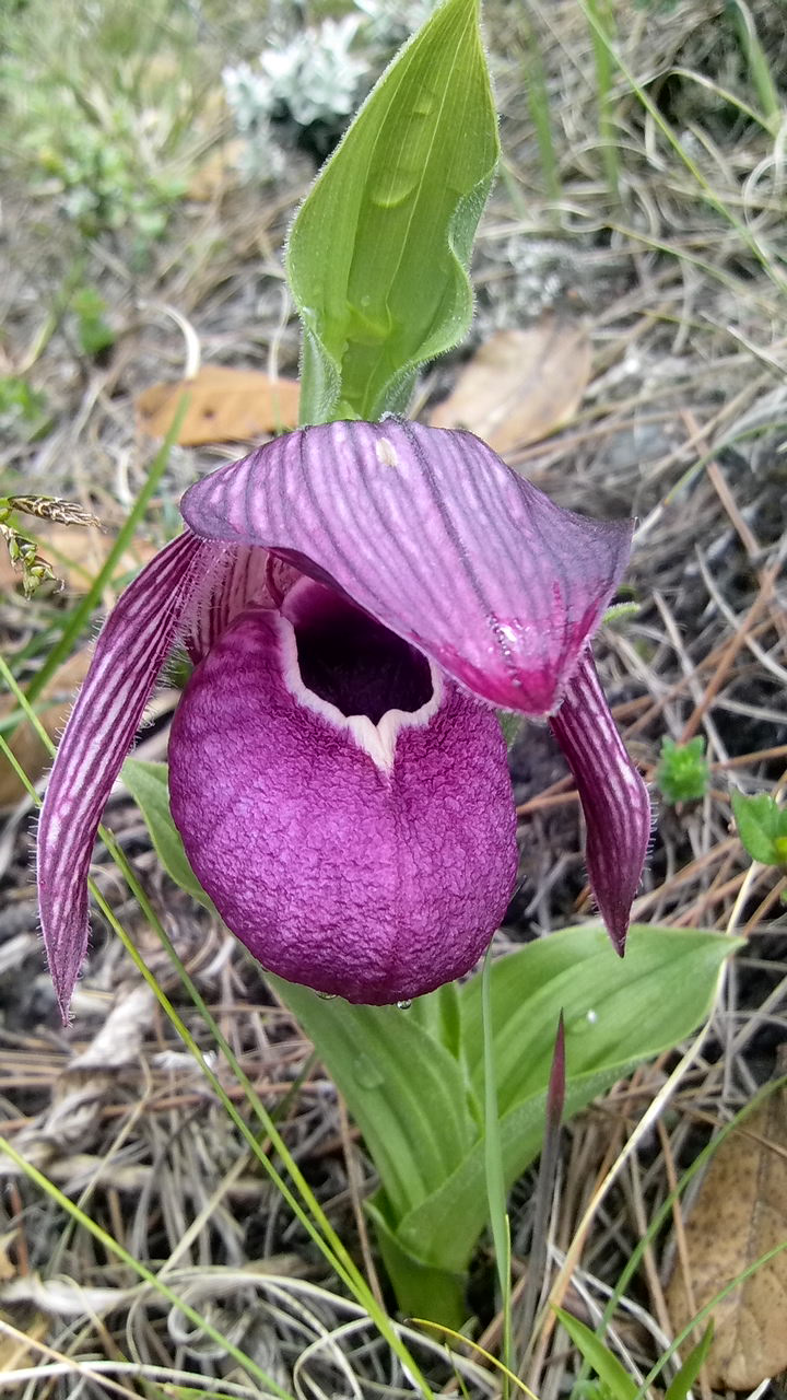 云南政法(微信)