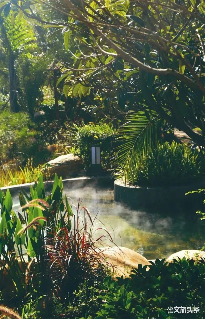 红河文旅(微信)