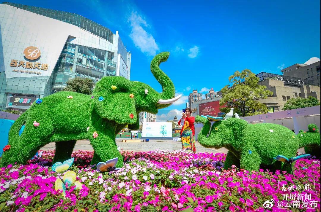 “云南发布”微博