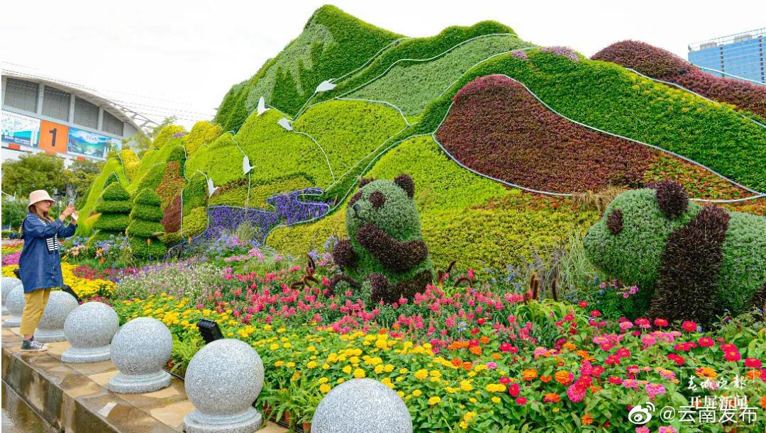 “云南发布”微博