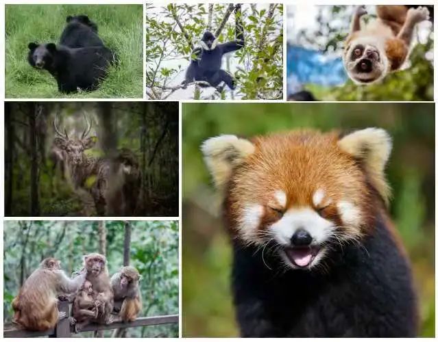 春城晚报(微信)