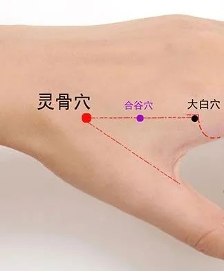 云南中医(微信)