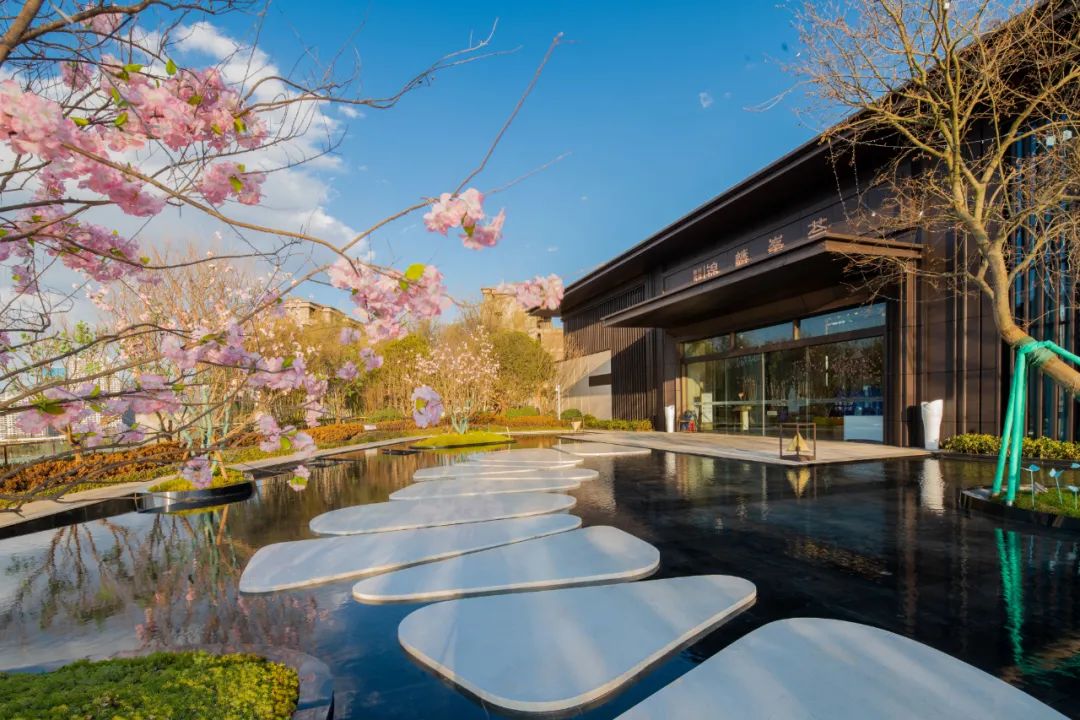 春城晚报(微信)