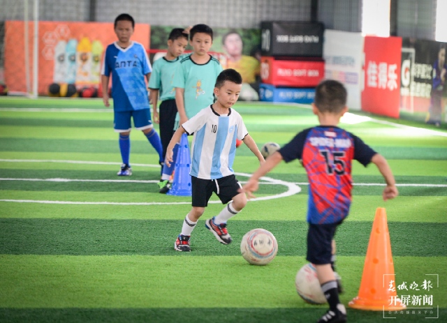 春城晚报(微信)