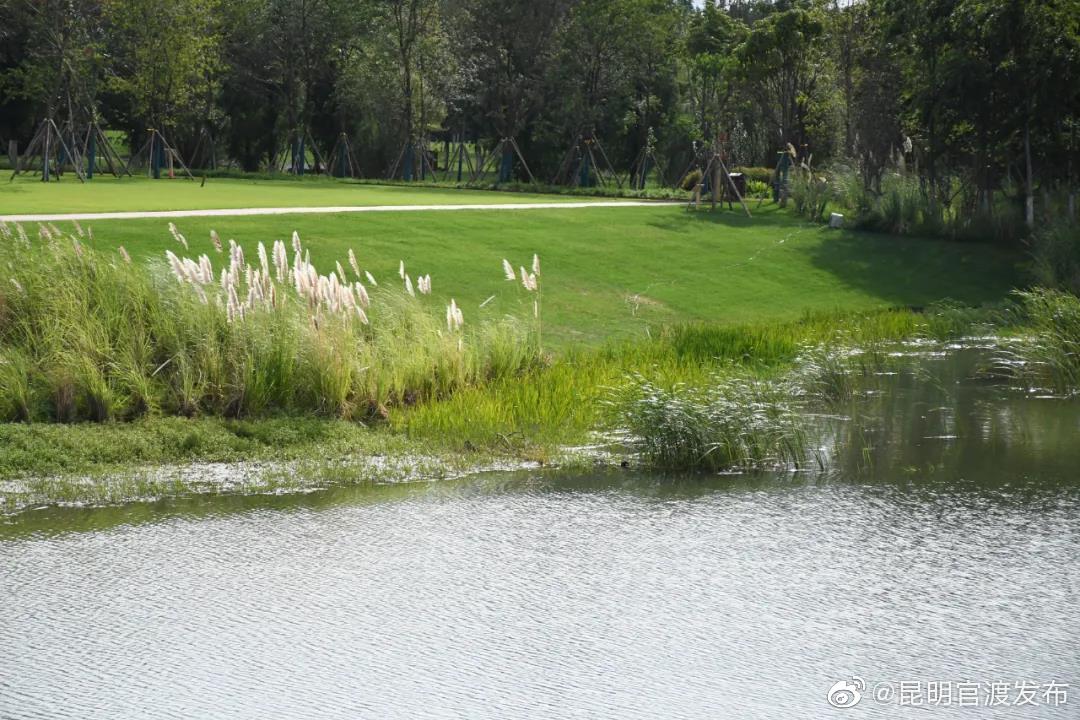 “昆明官渡发布”微博