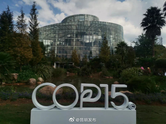 “昆明发布”微博