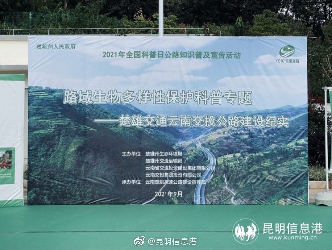 昆明信息港微博