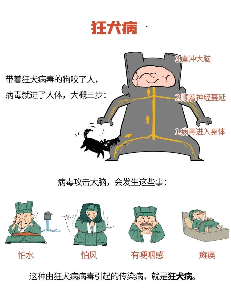 云南疾控(微信)