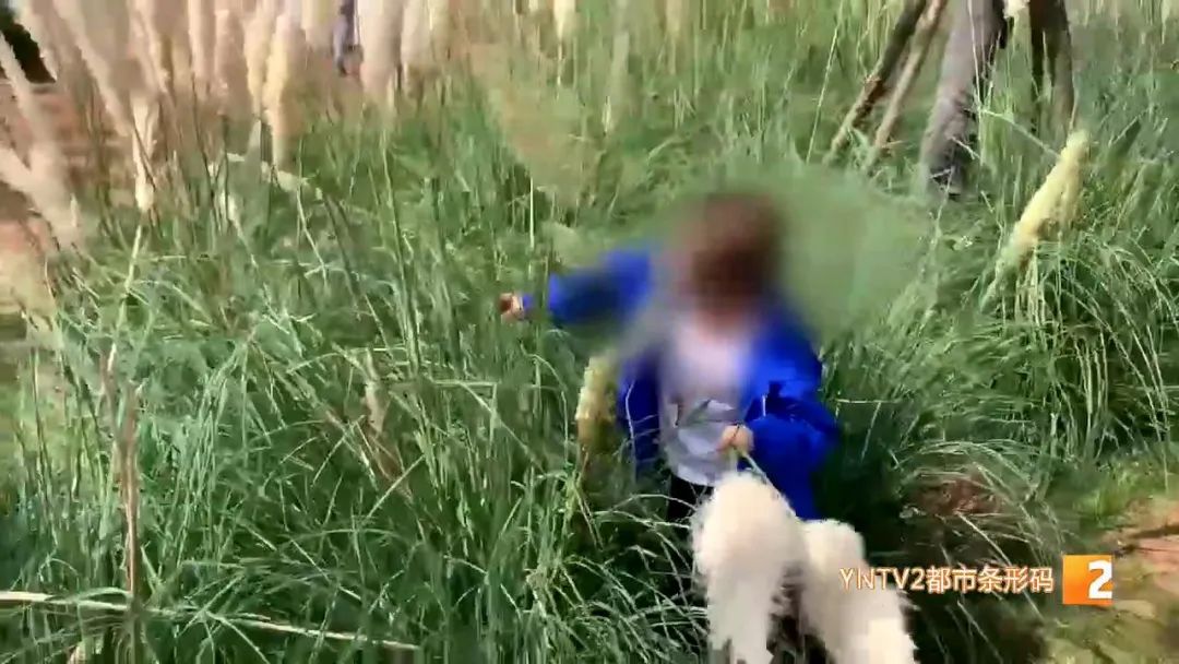 昆明信息港(微信)