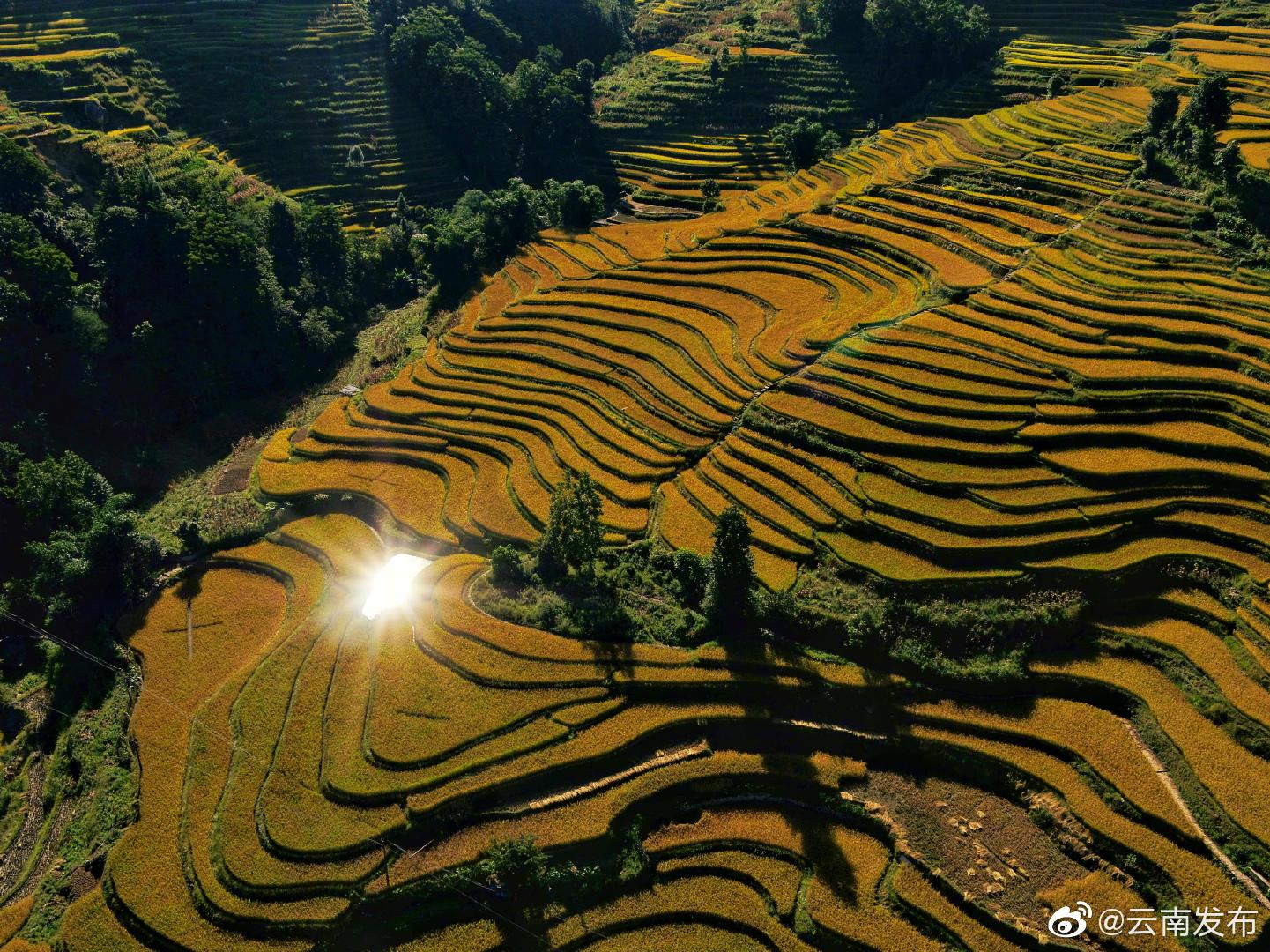 “云南发布”微博