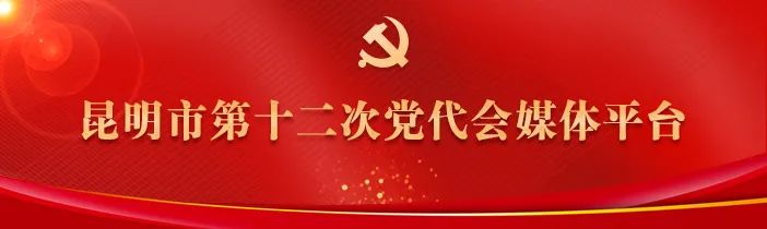 掌上春城(微信)