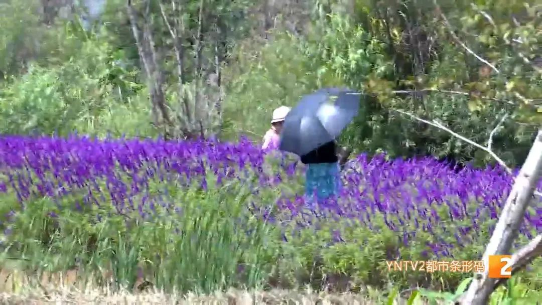 昆明信息港(微信)