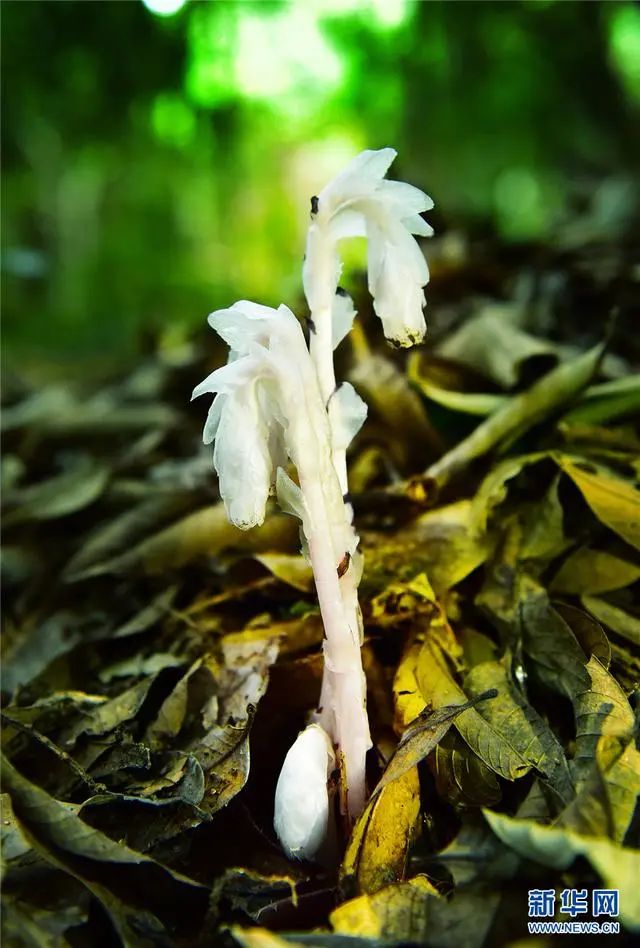 昆明信息港(微信)