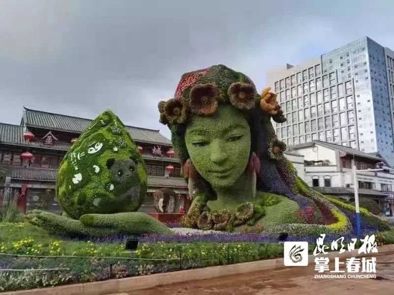 掌上春城(微信)