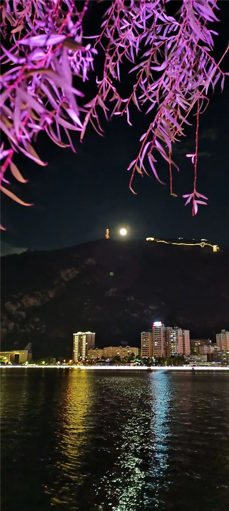 红河文旅(微信)