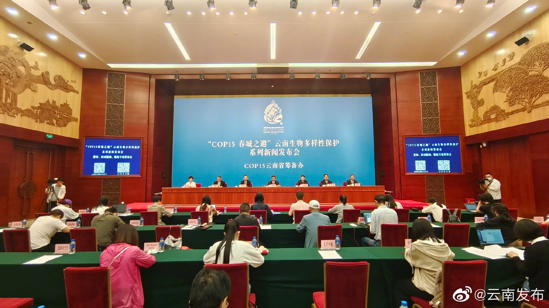 树龄达3200多年！临沧有世界上发现最大的人工栽培型古茶树