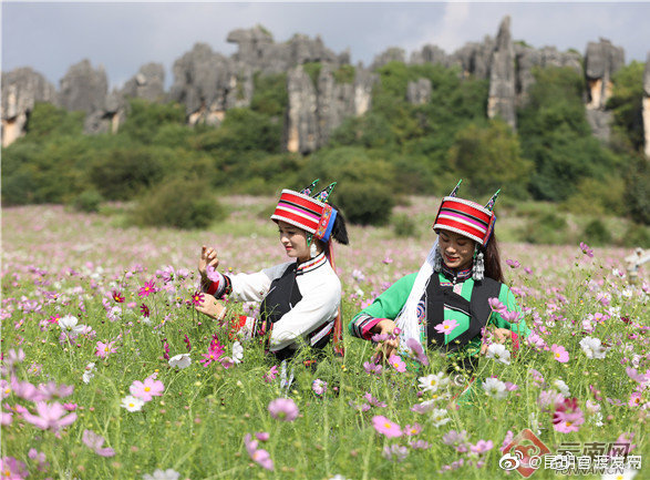 “昆明官渡发布”微博