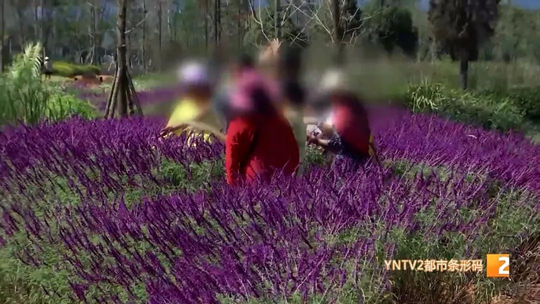 昆明信息港(微信)