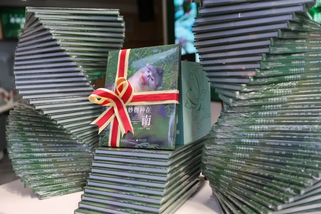 云南法制报(微信)