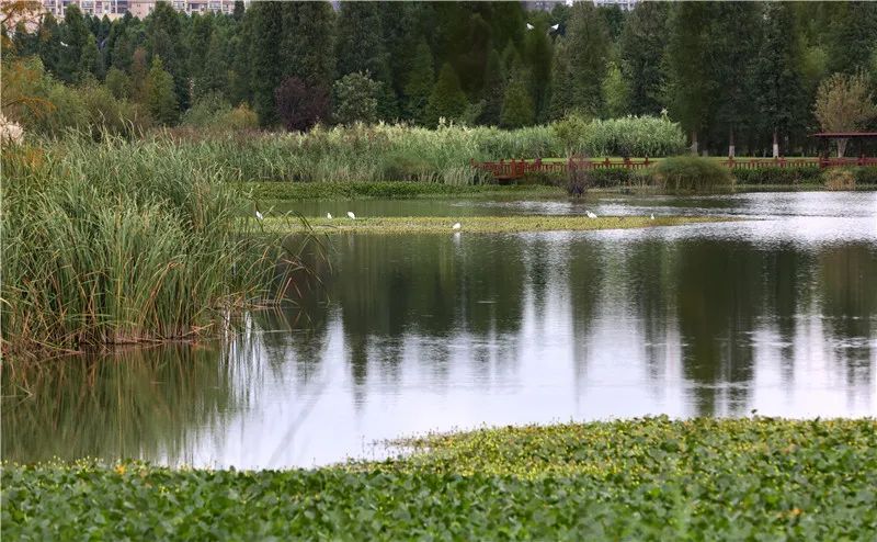 昆明发布(微信)