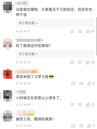 昆明信息港(微信)