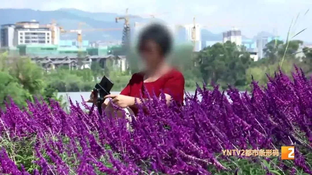 昆明信息港(微信)