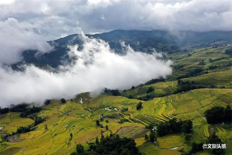 红河文旅(微信)