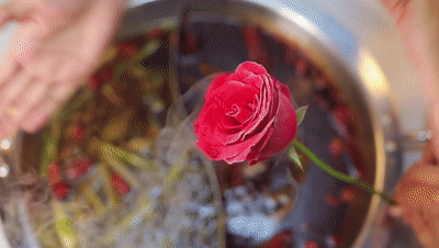 春城晚报(微信)