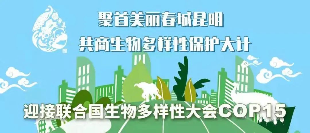 盘龙共青团(微信)