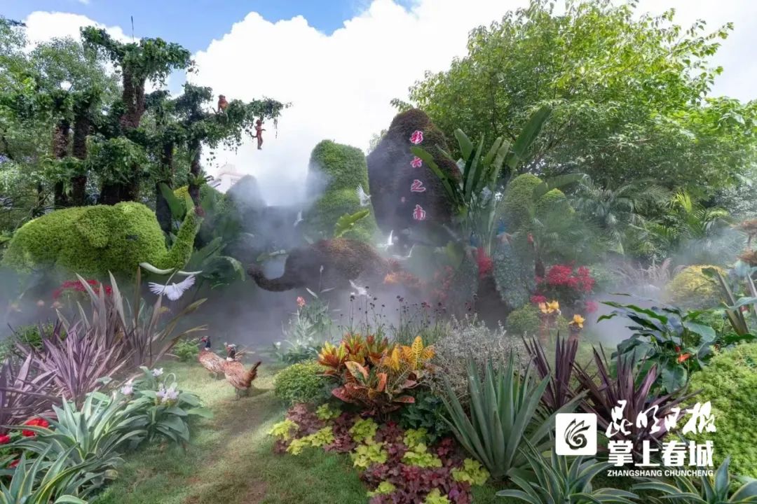 掌上春城(微信)