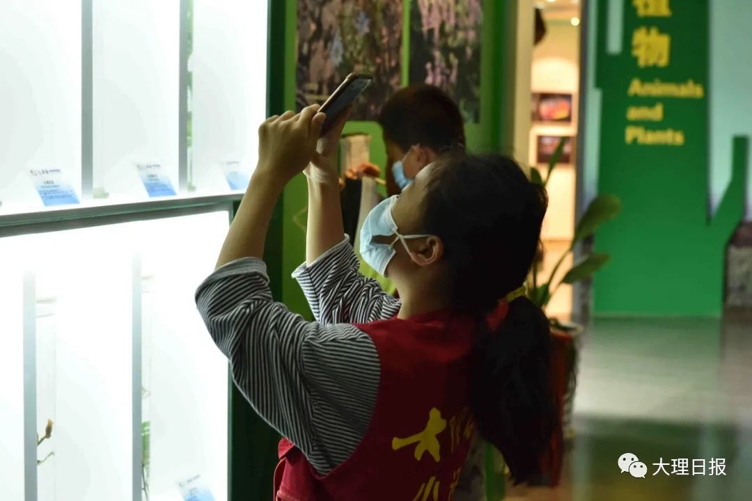 大理日报(微信)