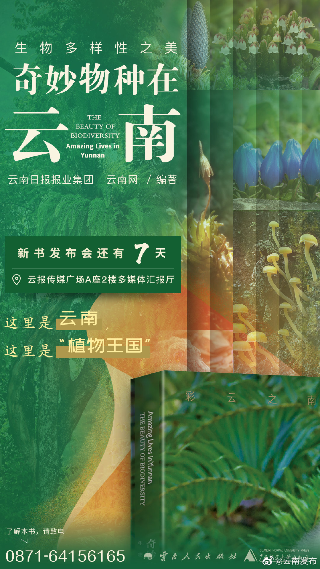 “云南发布”微博
