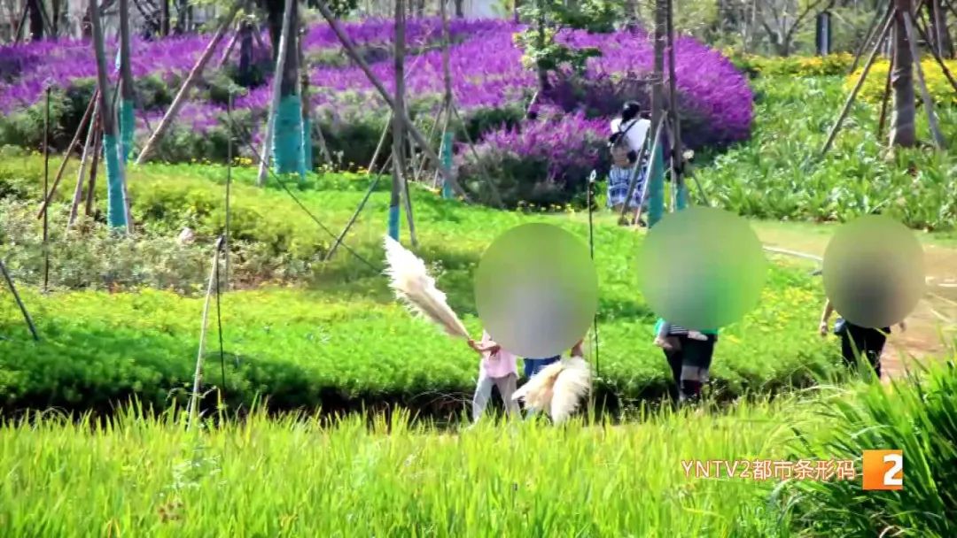 昆明信息港(微信)