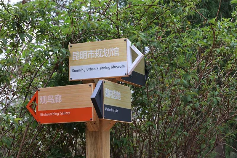 昆明发布(微信)